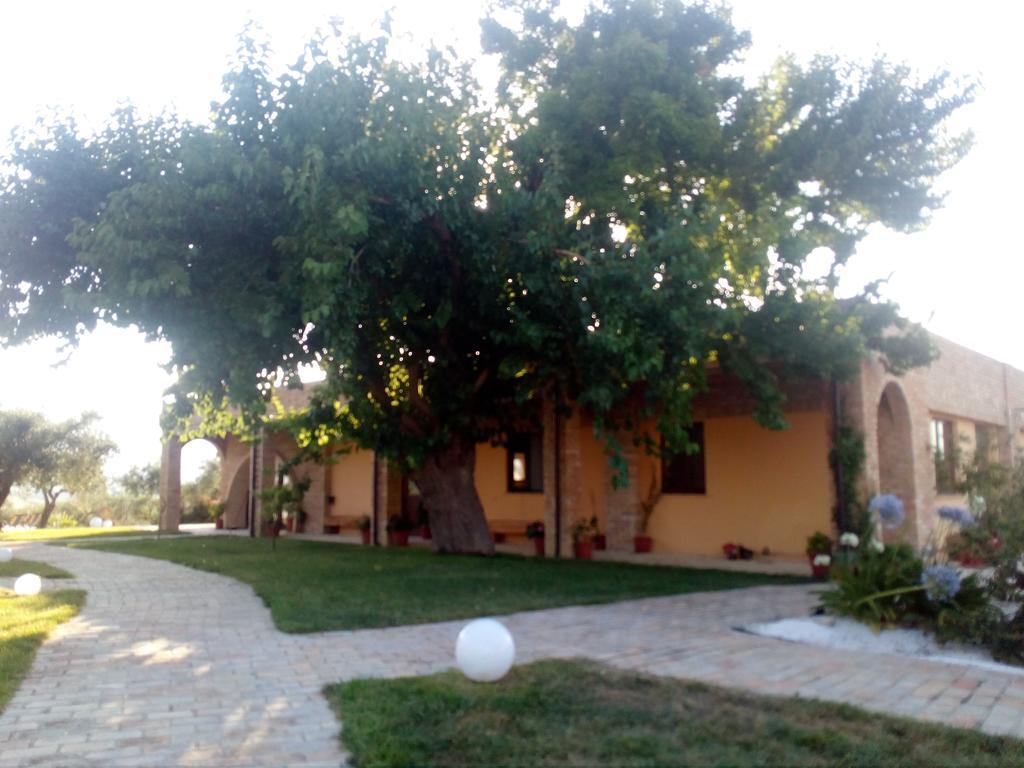 Agriturismo Piccolo Albero Loreto Aprutino Luaran gambar